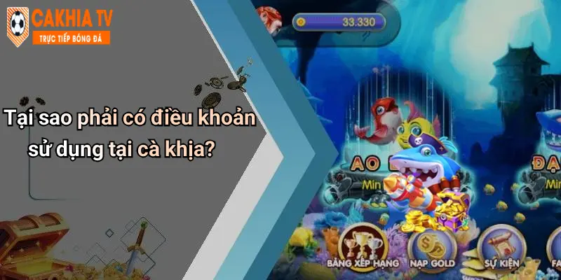 Tại sao phải có điều khoản sử dụng tại cà khịa?