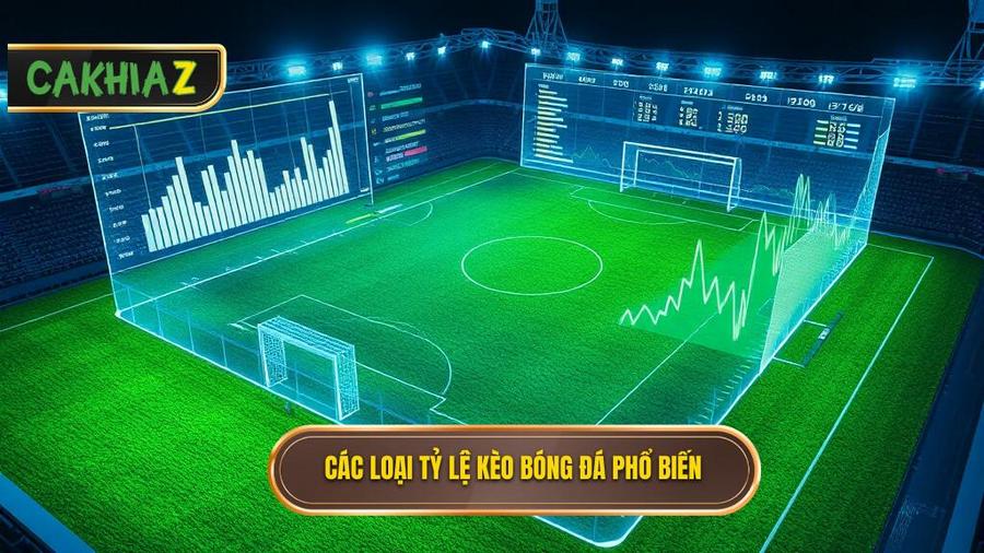Các loại tỷ lệ kèo bóng đá ngày mai phổ biến nhất