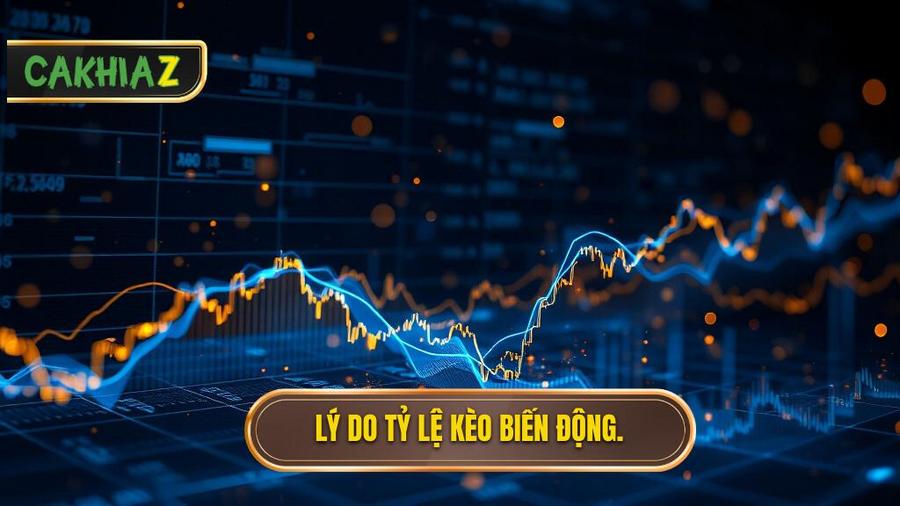 Phân tích đa chiều: Tại sao tỷ lệ kèo lại biến động?