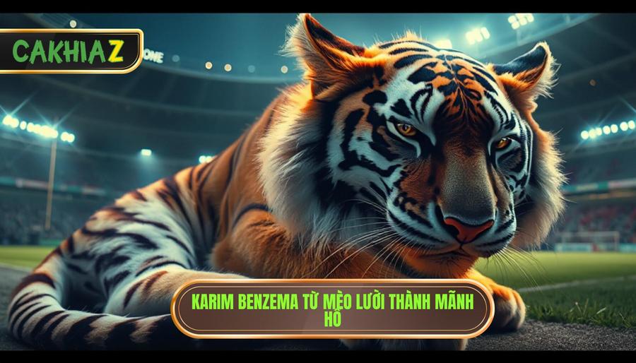 Karim Benzema từ mèo lười thành mãnh hổ